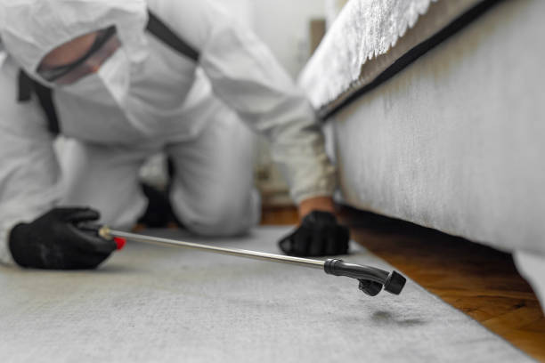 Professional Pest Control technician working in Highlands, NC