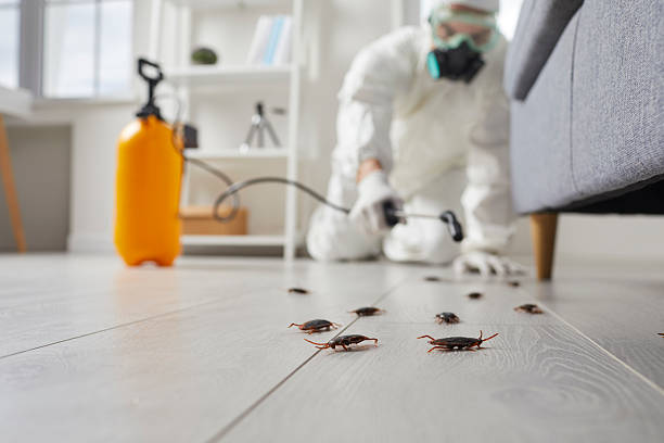 Trusted Fumigation Services service in Highlands, NC - Nex Pest Control