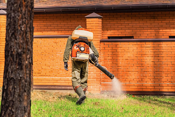 Trusted Ant Control service in Highlands, NC - Nex Pest Control